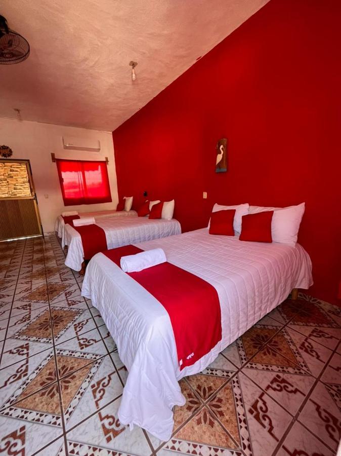 Hotel Y Bungalows Bugambilias سان باتريسيو ميلاكي المظهر الخارجي الصورة
